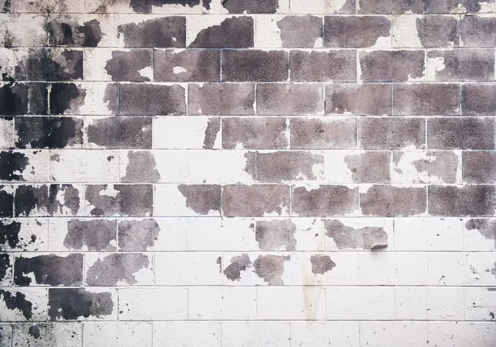 guide-to-commercial-painting-services featured image