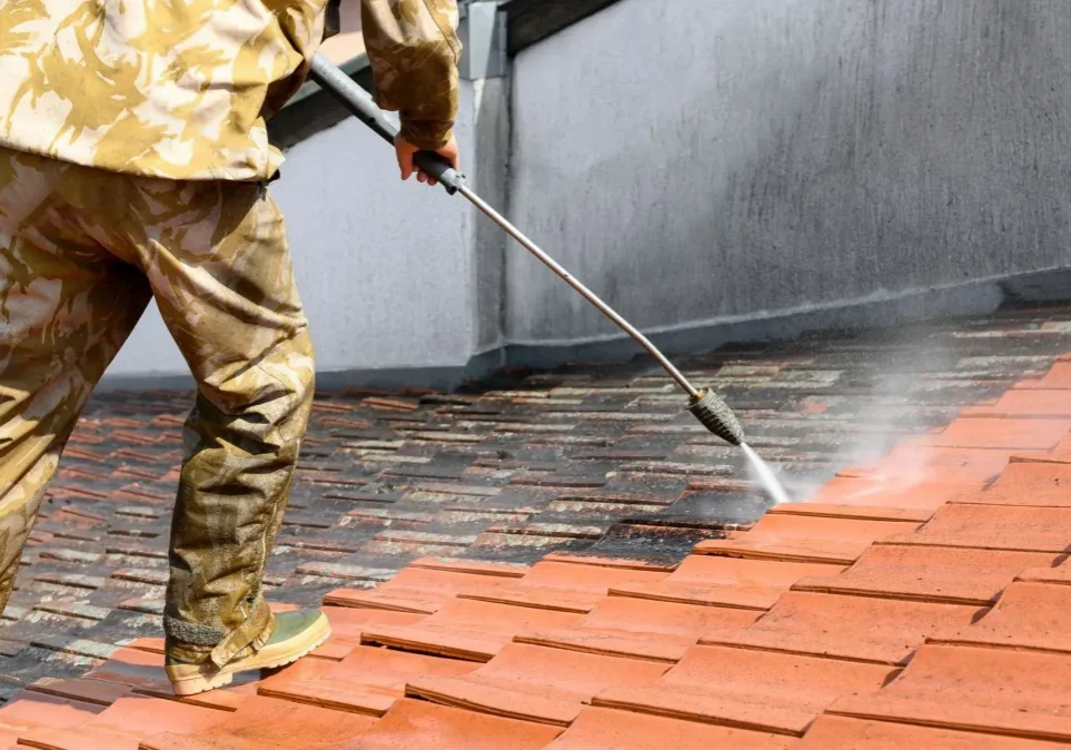 pressure-vs-soft-washing-techniques featured image